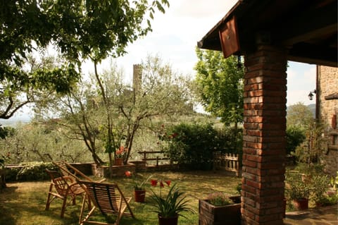 Plant, Sky, Property, Plant Community, Tree, Shade, Sunlight, Natural Landscape, Biome, Chair