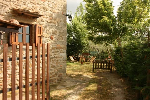 Plant, Property, Sky, Wood, Building, Fence, Tree, Grass, Sunlight, Biome
