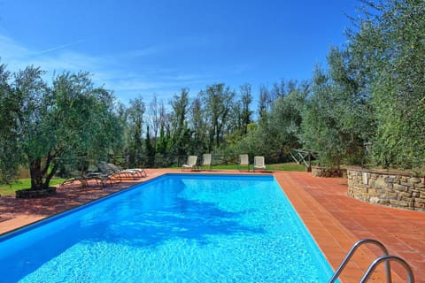 Garden, Pool