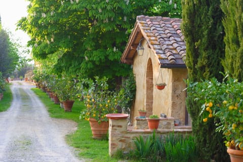 Il Viale e il Fienile