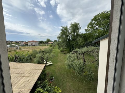 Shrub, Garden, Lawn, Backyard, Estate, Landscaping, Yard, Shade, Hacienda, Courtyard