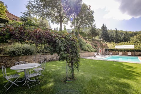 Garden and swimming pool