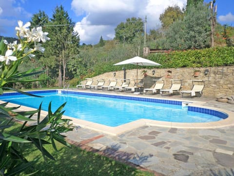 Swimming pool and garden