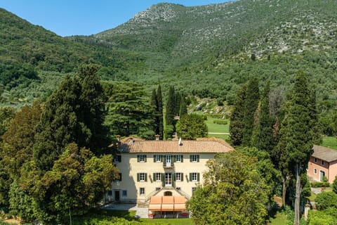 Sky, Plant, Mountain, Nature, Green, Natural Landscape, Tree, Land Lot, Highland, Vegetation