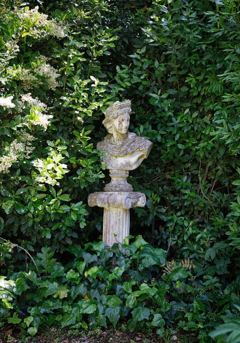 Sculpture, Statue, Stone Carving, Botany, Art, Leaf, Garden, Tree, Plant, Monument