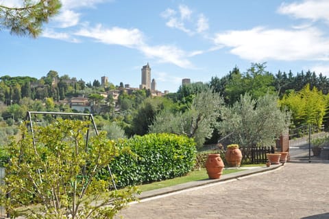 Garden, Outdoor, Scenic View