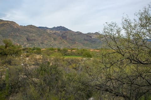 VIEW2