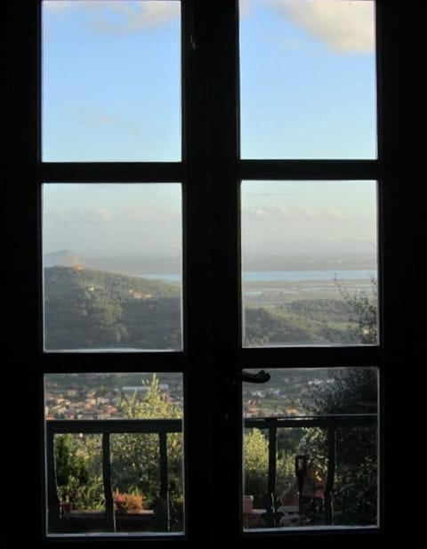 Sky, Window, Tree, Daylighting, Glass, Cloud, Room, Photography, Mountain, Sunlight