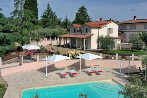 Garden, Outdoor, Pool