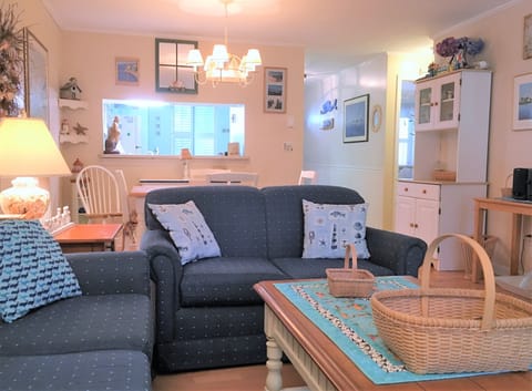 Living Room Area
