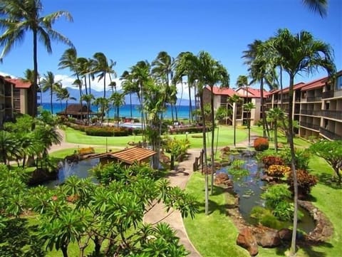 Koi Ponds, Tiki Torches, & Gardens