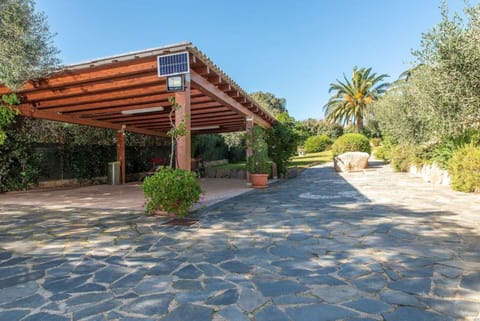 Balcony / Terrace / Patio, Outdoor