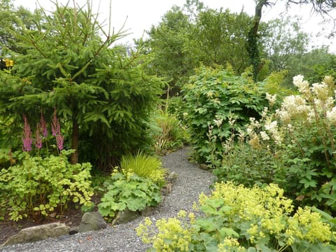The garden, Brontë School House, in July