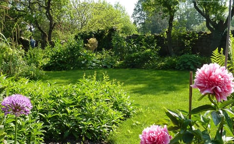 The garden in May