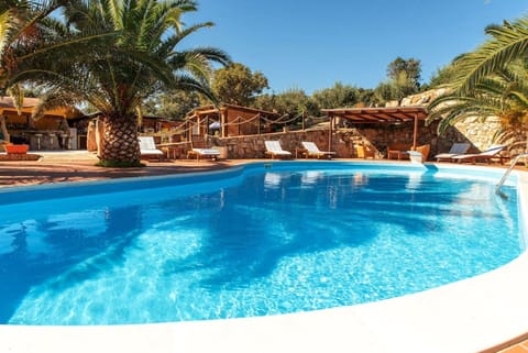 Garden, Outdoor, Pool