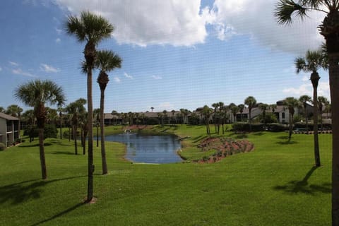 View from balcony