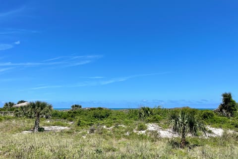 Oceanfront view from patio