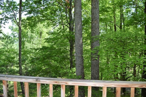 Mtn Shade View from upper deck