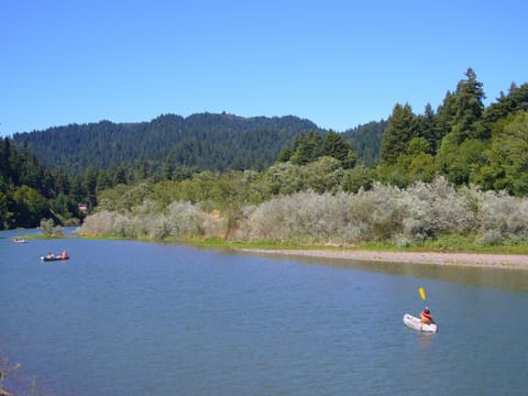 Summertime at the Russian River - from the backyard and down the season stairs.