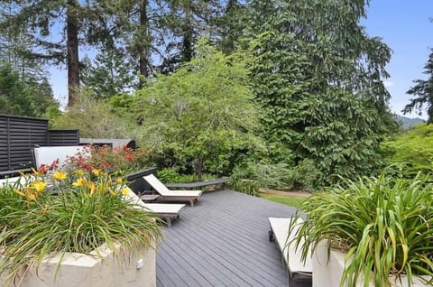 Lounge in style - garden and tree views with abundant sunlight.