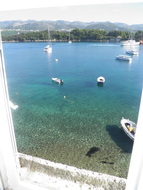 View from the living room