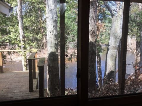 View from the kitchen sink window