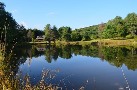 VIEW FROM ACROSS THE POND
110 ACRES