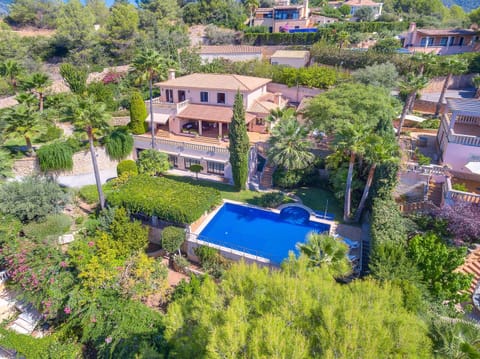 Garden with pool