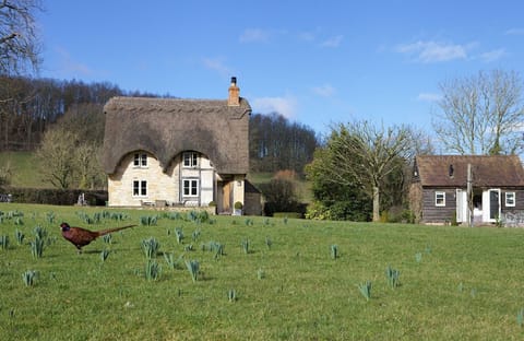 Field Cottage and Garden Room