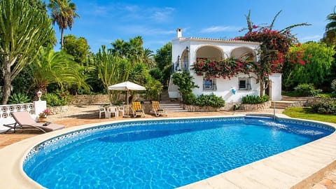 Garden and swimming pool