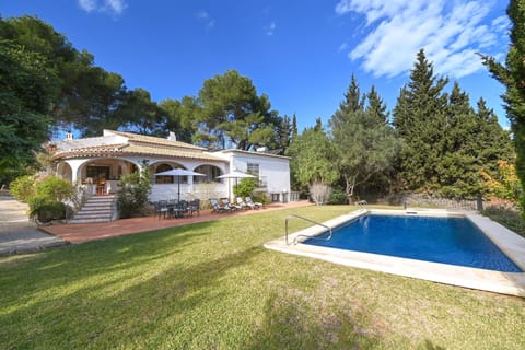 Garden and swimming pool