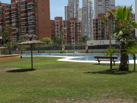 Swimming-pool and garden