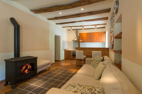 Polovnik House - living room