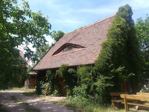 external view