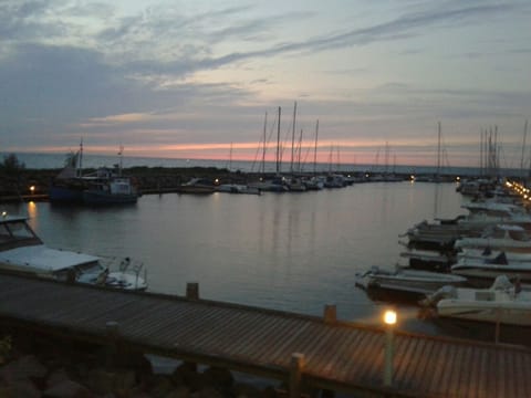Marina