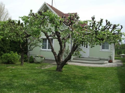external view