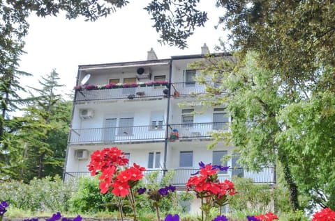external view