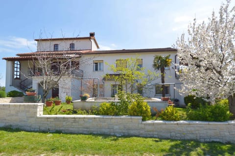 external view