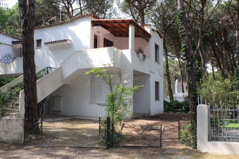 external view