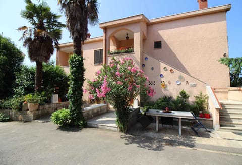 external view