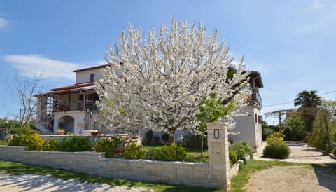 external view