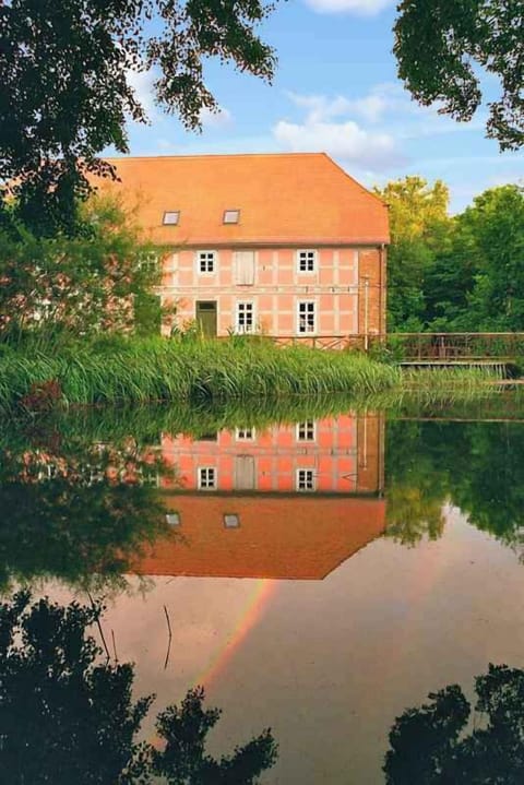 external view