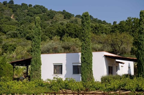 external view