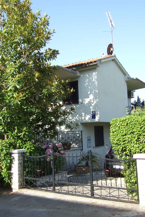 external view