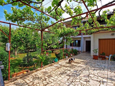 external view