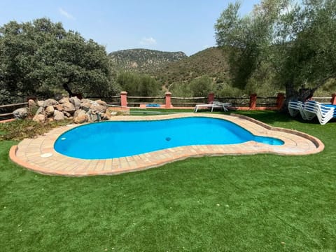 Swimming pool view