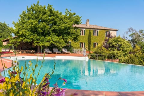 Swimming pool view