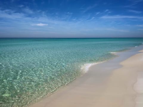 Awesome Pristine Gulf of Mexico