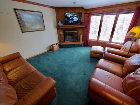 Living Room Area - Super comfortable living room with an incredible view, cozy fireplace, and TV.