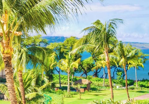 Wake up to lush gardens, swaying palms, and ocean blues—your daily view in this tropical Maui paradise    